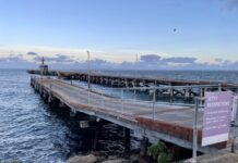 Jetty nears completion, SA Water pipe works