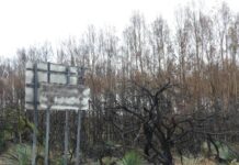 Heading off a disaster