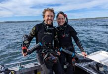 Reef restoration success