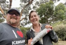 New team, new owners