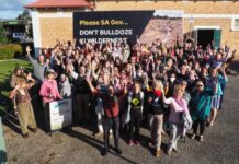 Nature bulldozed to fight fires