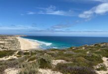 $6 million in native vegetation grants to help landowners protect SA’s biodiversity