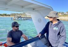 Dolphin Watch to purchase tech equipment with Ageing Well grant