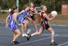 KI Netball reports