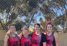 Netball played at Wisanger