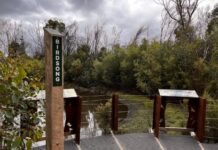 Platypus walk in Flinders Chase rebuilt