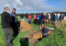 Soil testing can save you dollars