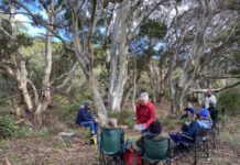 Kangaroo Island Birdlife Group enjoys regular birdwatching outings