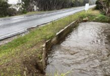 Transport study for Kangaroo Island and Fleurieu Peninsula