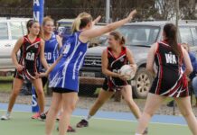 Action from Round 6 of Kangaroo Island netball