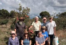 Another great apple harvest for Kangaroo Island Ciders