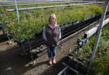 Foundation for National Parks & Wildlife partners with KI Native Plant Nursery