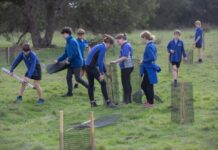 Parndana students get hands dirty for a cleaner, greener future in their back paddock