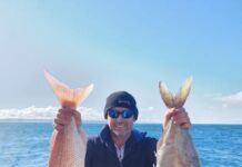 Snapper stocks get boost from first fingerling release