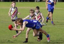 Action from Kingscote and Wisanger junior matches in KI football: PHOTOS