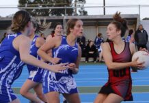 Kangaroo Island netball action at Kingscote: PHOTOS