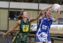 Kangaroo Island netball action at Wisanger: PHOTOS