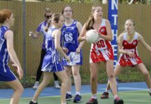 Kangaroo Island netball action at Wisanger: PHOTOS