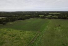 Hay/Silage Workshop and Paddock Walk coming up on KI