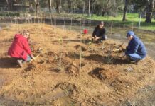 A world first at Kangaroo Island’s Rare Plant Garden