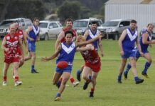 Colts, Reserves football action at Wisanger: PHOTOS