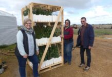 Trees for Life ‘Tree Scheme’ makes dreams come true, order your trees now