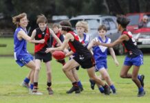 Junior footy action