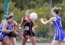 KI Netball match reports from Kingscote, action from Western Districts