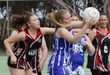 Kangaroo Island netball action from Wisanger: PHOTOS