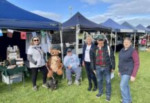 Penneshaw community markets are back on KI this October
