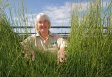 Kangaroo Island’s mother of native plants retires