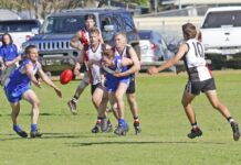 Western Districts, Kingscote through to 2023 Grand Final