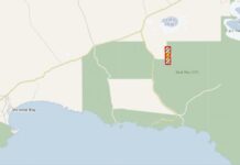 Prescribed burn along Emmet Track at Seal Bay Conservation Park a success