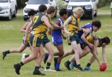 Big haul for Tait in KI Colts preliminary final