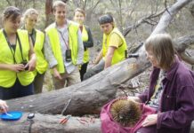 University of Adelaide releases citizen science platform SciStarter