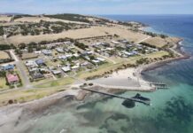 Help secure much-needed funding, access for SA’s jetties