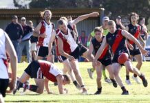 Kingscote Hounds score upset win in 2023 KI Grand Final