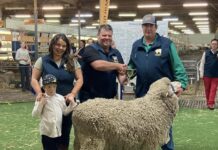 More success at the Royal Adelaide Show for the McArdle family