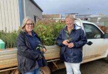 Bushfire recovery takes root in support of affected landholders, island biodiversity