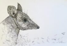 Lahaina wins best regional art prize in Foundation’s “Wild at Art”