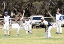 MacGillivray overcomes new-look Kingscote at the MCG