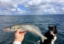 Boating safety this summer; more marine inspections