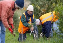 Help improve the Cape Jervis coastline