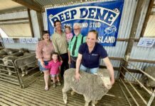 Berry Partners Deep Dene holds 55th annual poll merino ram sale
