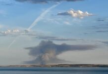 National Parks’ burn on Dudley, grass fire at Stokes