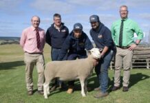 Ella Matta defies odds in outstanding ram sale