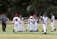 Kangaroo Island U16 Junior Cricket at Wisanger: PHOTOS