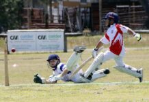 Junior cricket action at Wisanger: PHOTOS