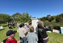 Letter: Perhaps – The Voice