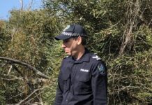 More details on investigation to identify Kangaroo Island human remains